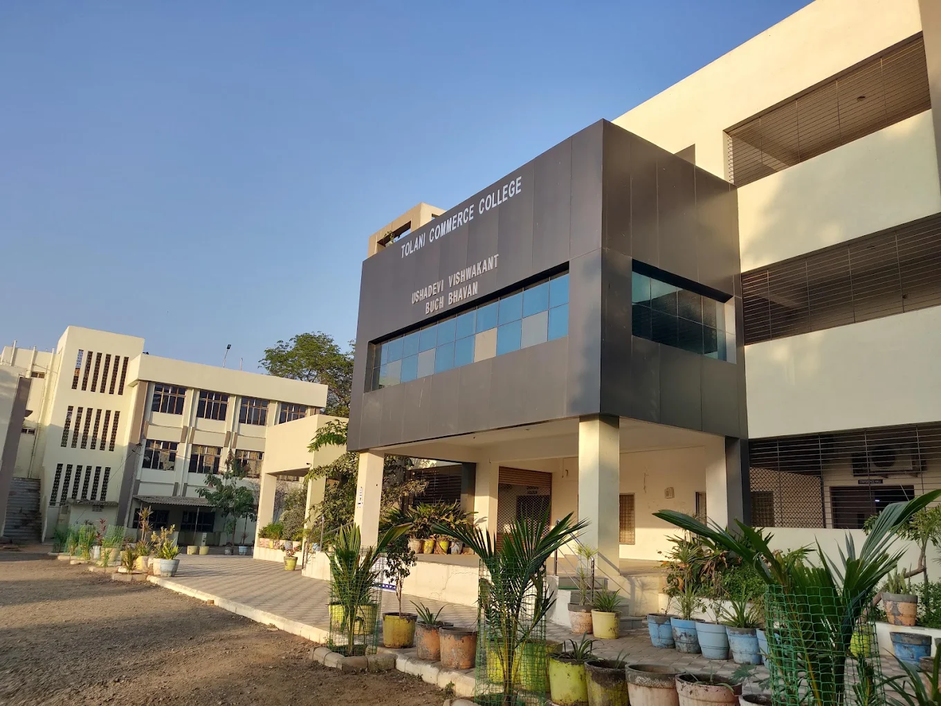 Tolani Commerce College